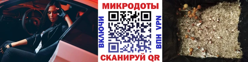 продажа наркотиков  Кунгур  Галлюциногенные грибы Magic Shrooms 